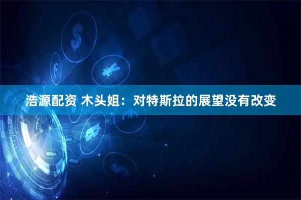 浩源配资 木头姐：对特斯拉的展望没有改变