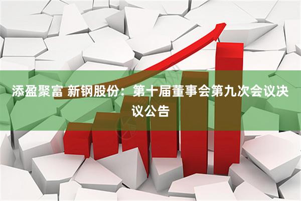 添盈聚富 新钢股份：第十届董事会第九次会议决议公告