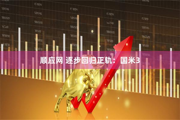 顺应网 逐步回归正轨：国米3